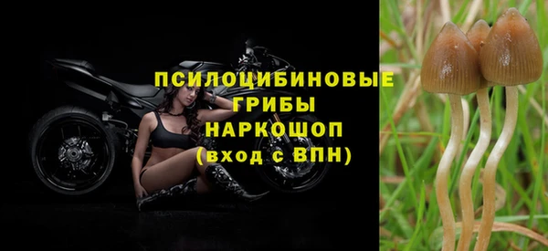 ПСИЛОЦИБИНОВЫЕ ГРИБЫ Абинск