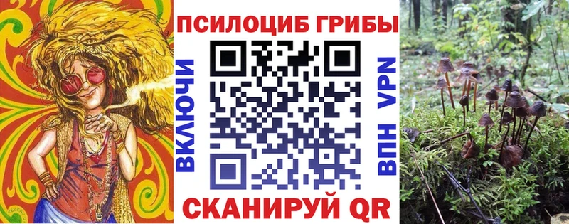 Псилоцибиновые грибы Psilocybine cubensis Оренбург
